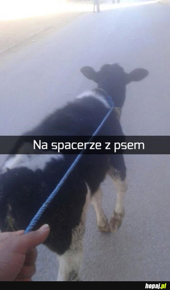 DZIWNY JAKIŚ