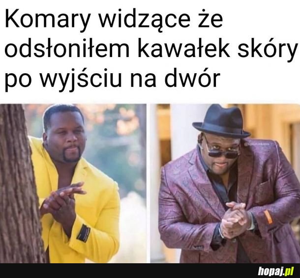  Komary