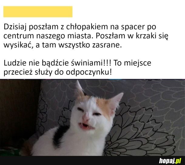 O ironio