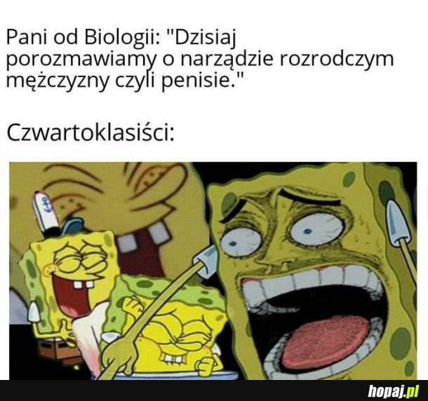 Śmiechu co nie miara 