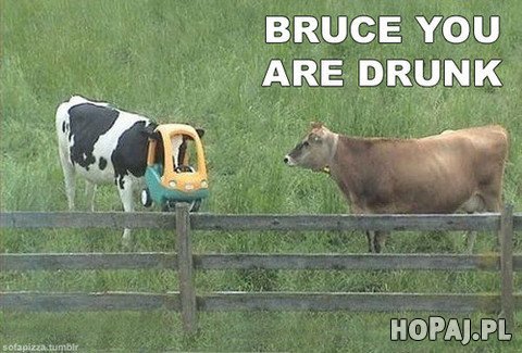 Bruce jesteś pijany