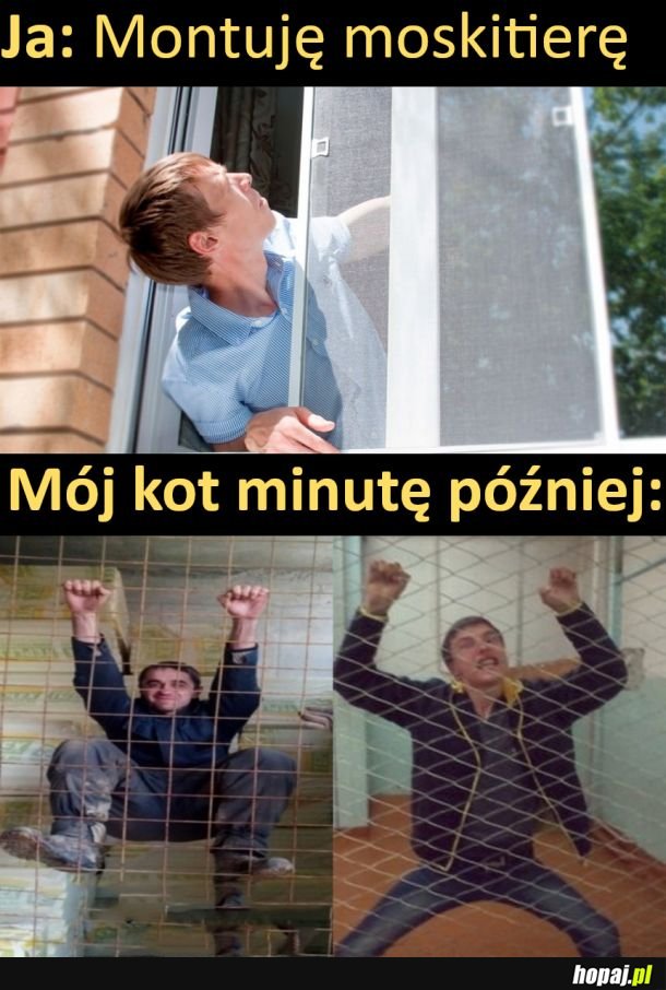Wpinaczka