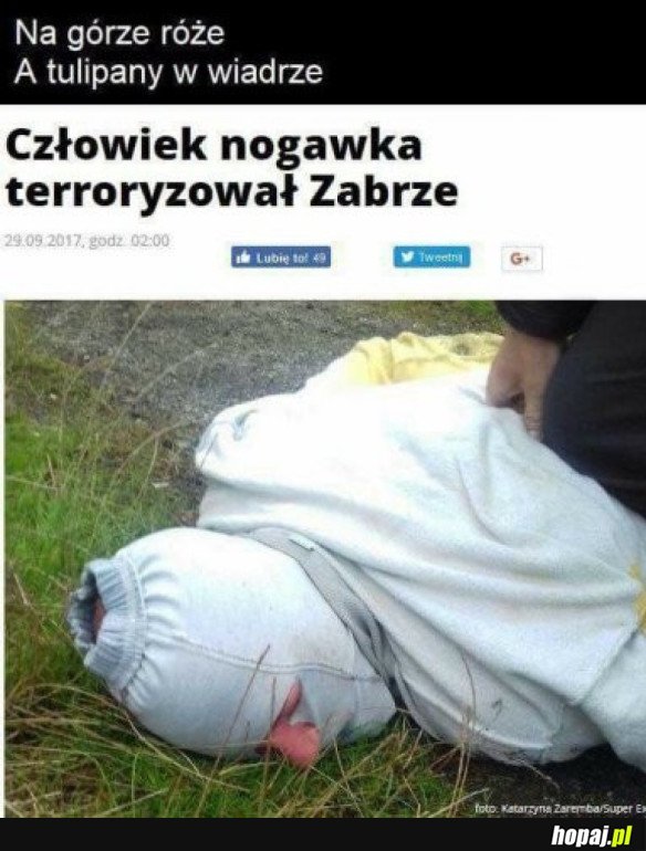 CZŁOWIEK NOGAWKA W NATARCIU!