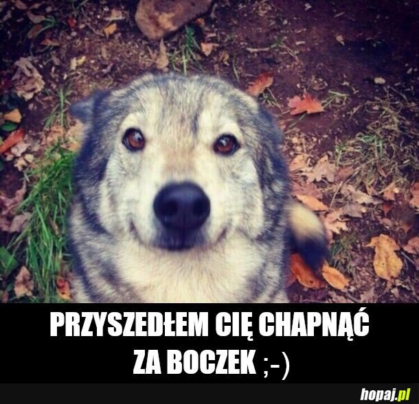 Boczki