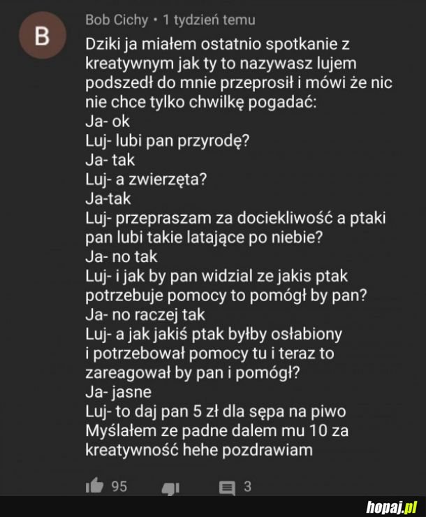 Kreatywny luj