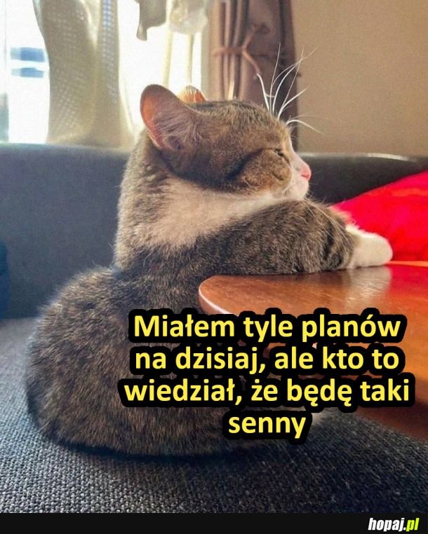 Senność