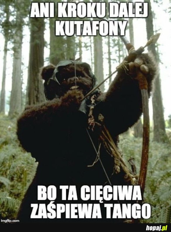 BO STRZELĘ!