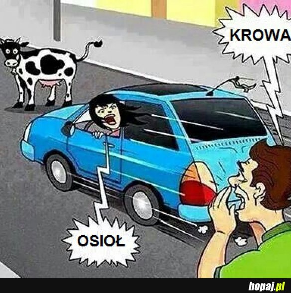 Kobieta za kółkiem