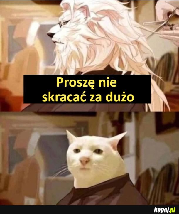 Faceci u barbera