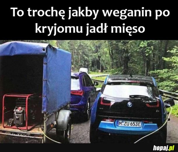 Weganin