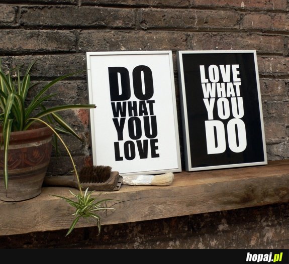 Do what you love