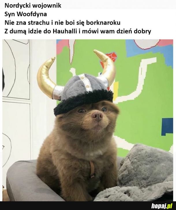 Hauhallia