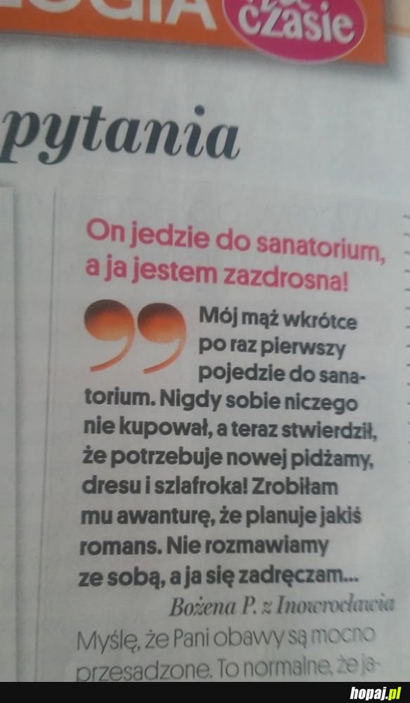 Zazdrośnica
