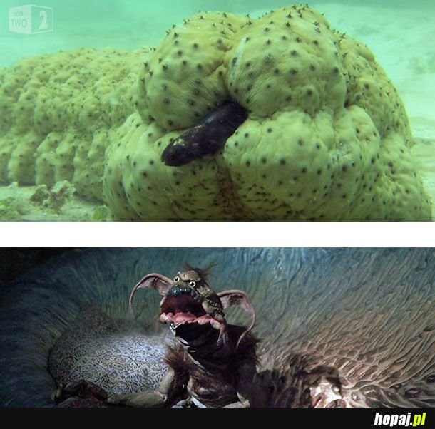 Pierwsze skojarzenie