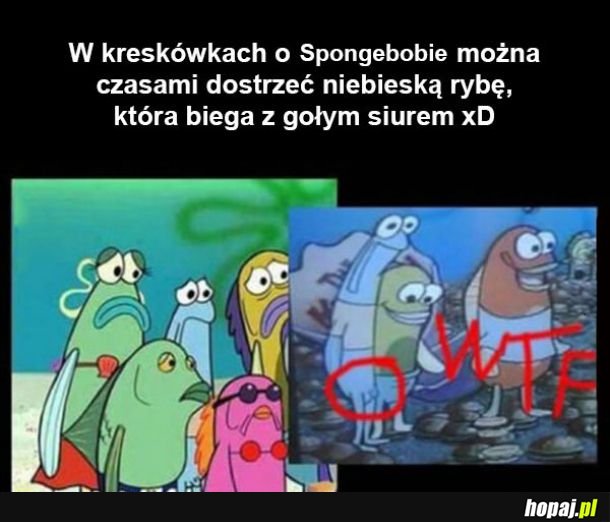 Faktycznie