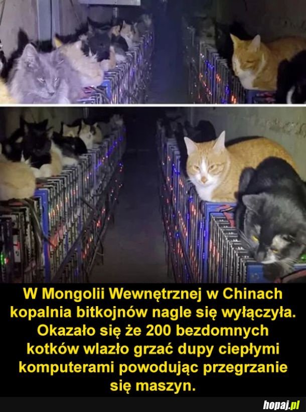 Kopalnia bitcoinów