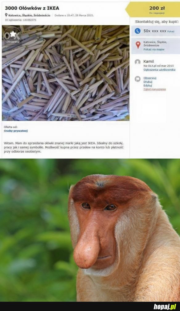 Janusze biznesu