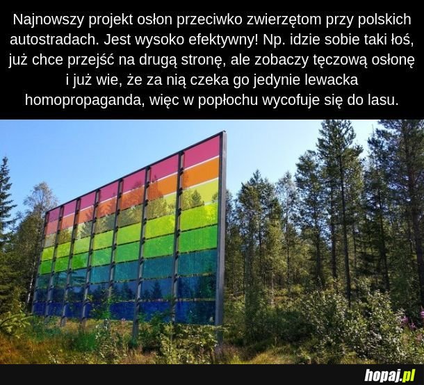  Tęczowa osłona