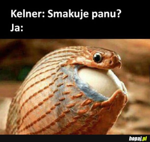 Om nom nom