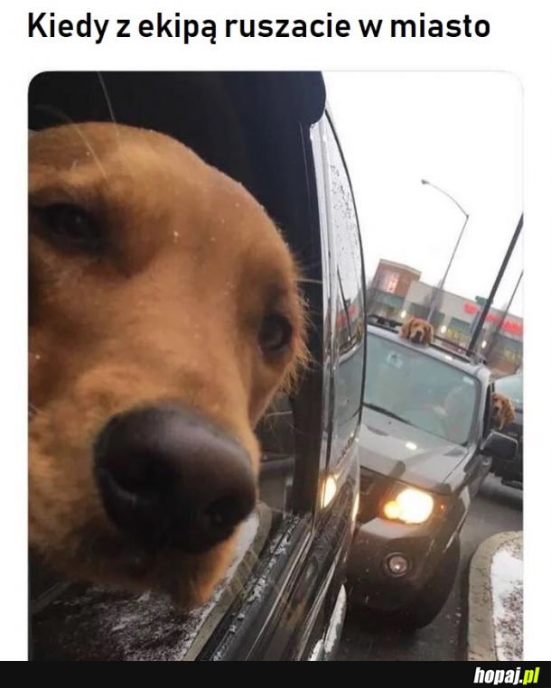 Będzie się działo 