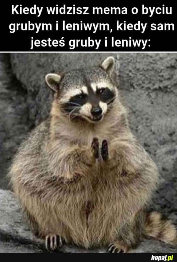 KIEDY WIDZISZ MEMA O BYCIU GRUBYM I LENIWYM
