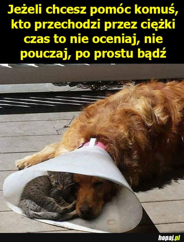 Prawdziwa pomoc