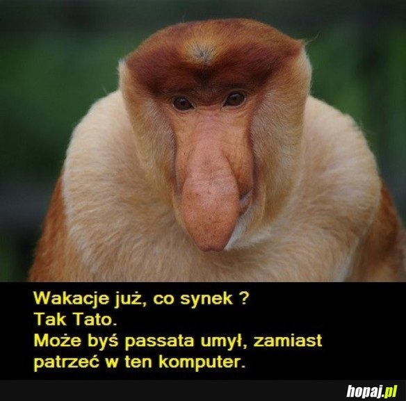 WAKACJE