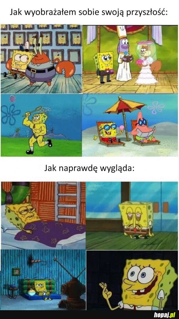 Oczekiwania vs rzeczywistość