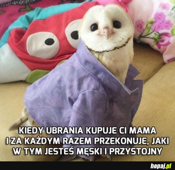 CIASTECZKO!