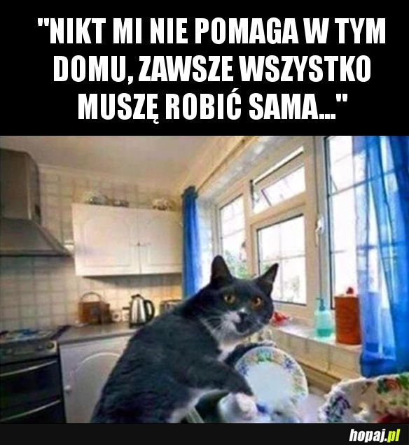 Cały dom na mojej głowie...