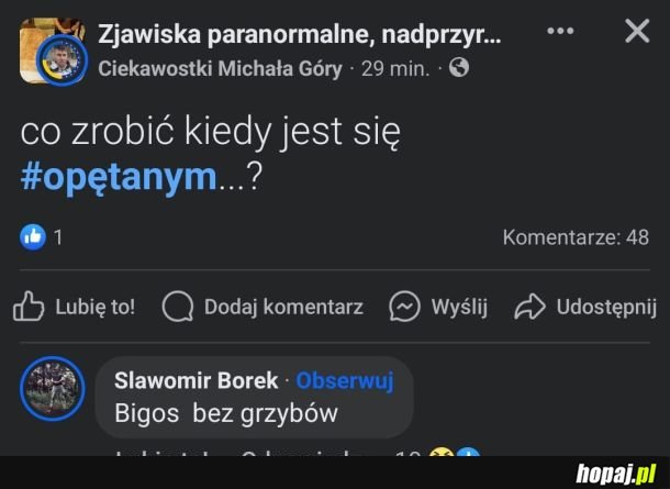 Bigos