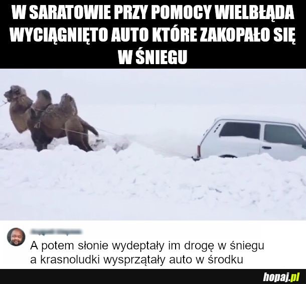 Co tam sie dzieje