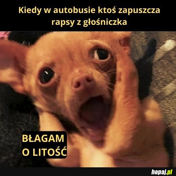 Błagam o litość