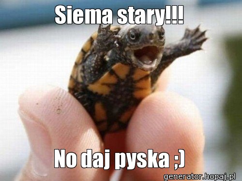 Siema stary!!!
