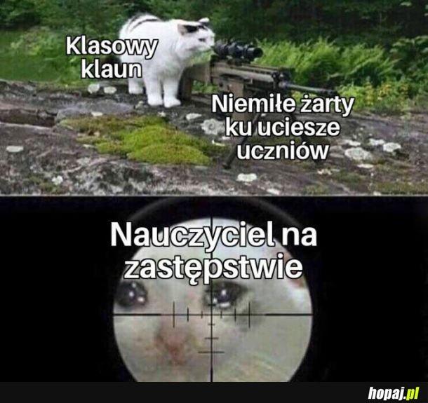 Zastępstwo