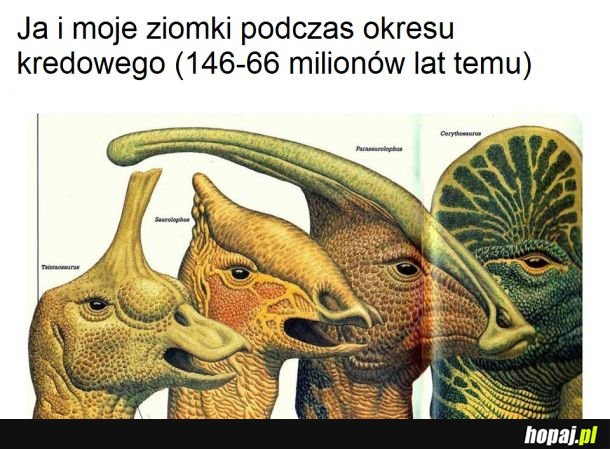  Hadrozaury 