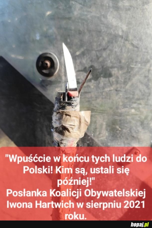 Madki z dziećmi atakujo polskich strażników!