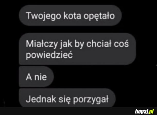 Opętany kot