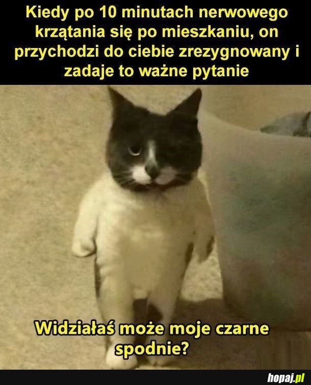 Wreszcie