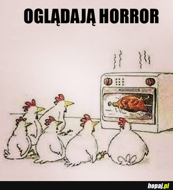 KURY OGLĄDAJĄ HORROR