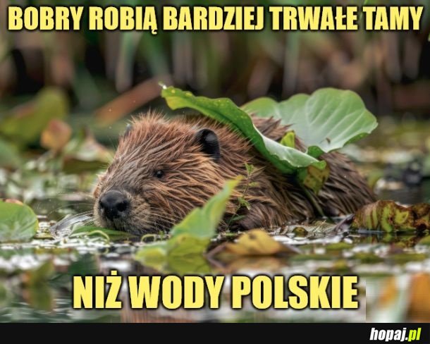 Bobry