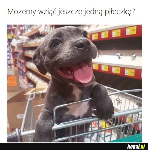 Proszę kup
