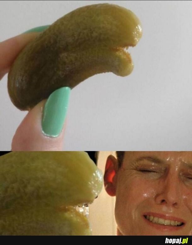Prawdziwy potwór