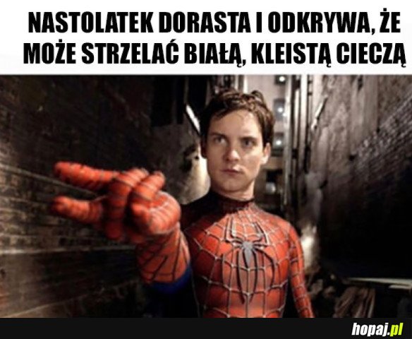 JAK ŹLE WYTŁUMACZYĆ FABUŁĘ FILMU