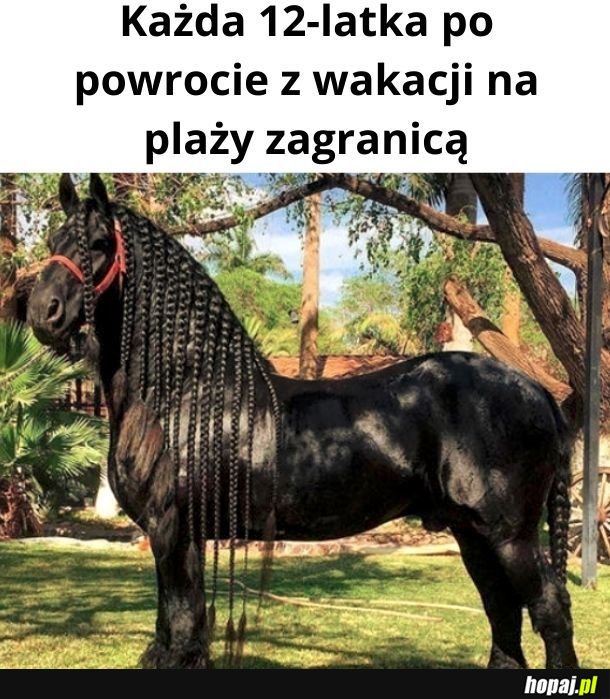 W pracy na taki fryz mówimy &quot;drewniane włosy&quot;