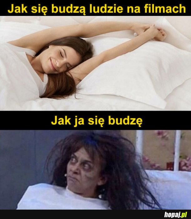 Moja pobudka