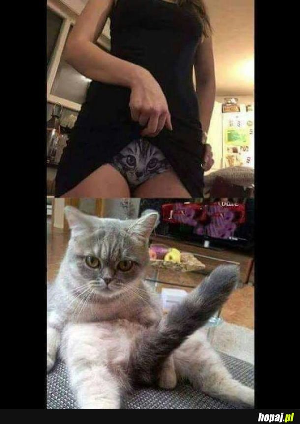 Miałkłem