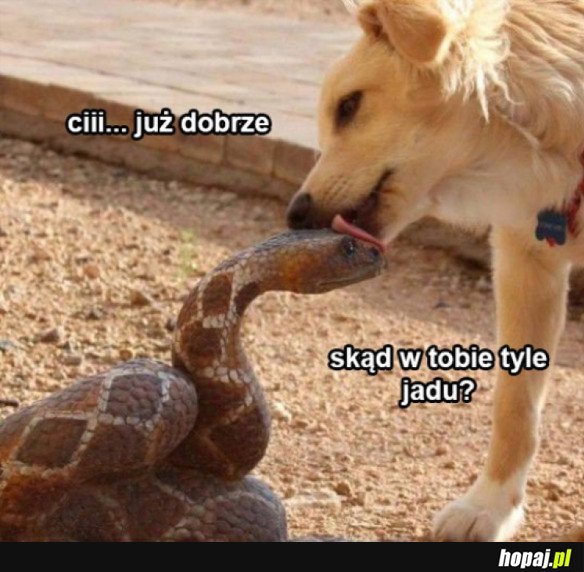 SPOKOJNIE