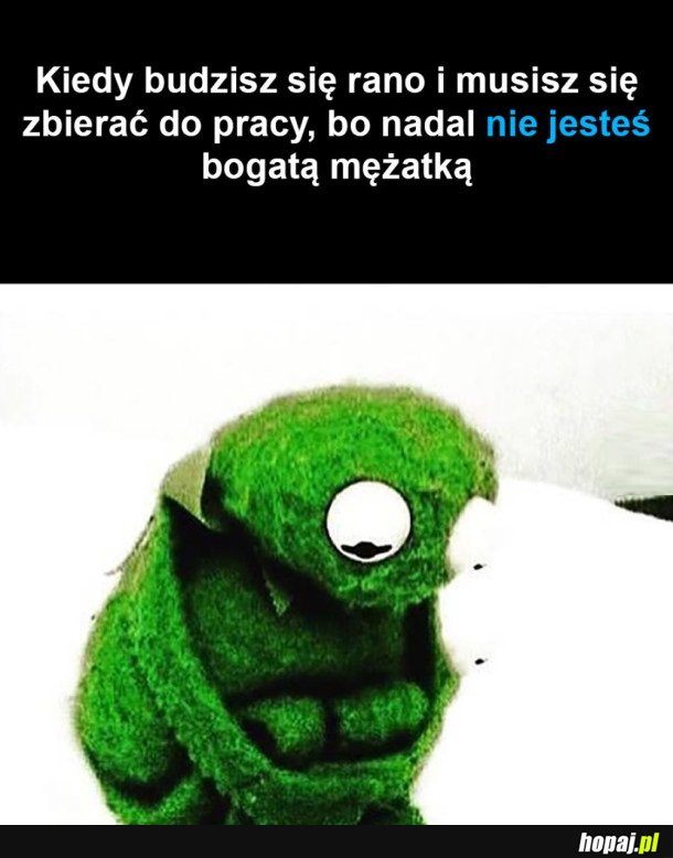 KOLEJNY DZIEŃ