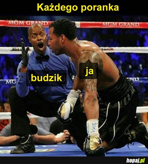 Poranki